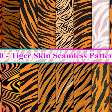 Skin Seamless Patterns 370192