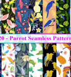 Patterns 370198