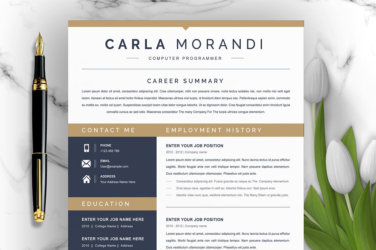 Professional Resume Template | Curriculum Vitae