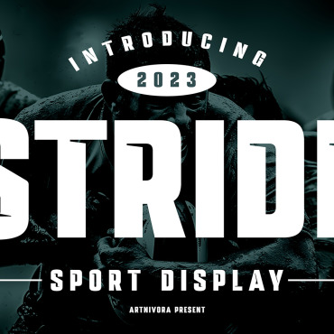 Fonts Display  370562