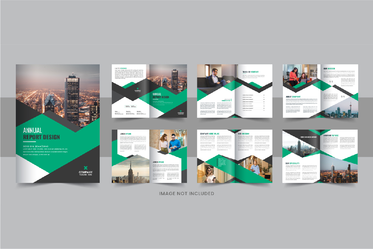 Annual Report Brochure Design or Annual Report Layout