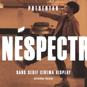 Fonts Display  371071