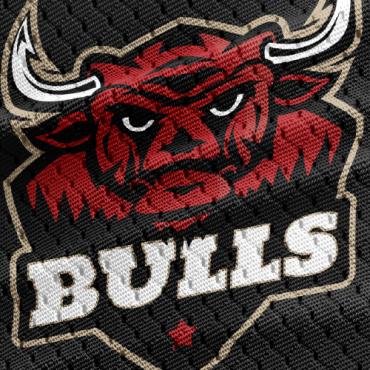 Buffalo Bull Logo Templates 371113