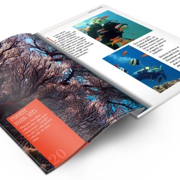 Magazine Template  371339