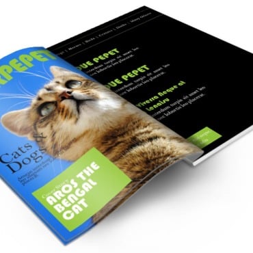 Guide Magazine  371793