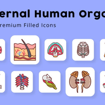 Lungs Liver Icon Sets 371820