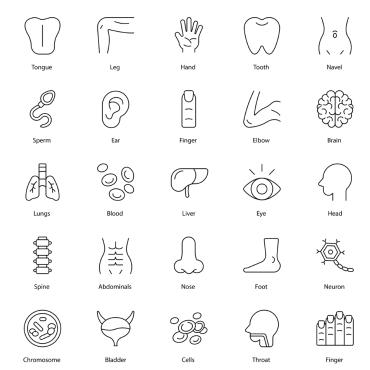 Icon Icons Icon Sets 372135