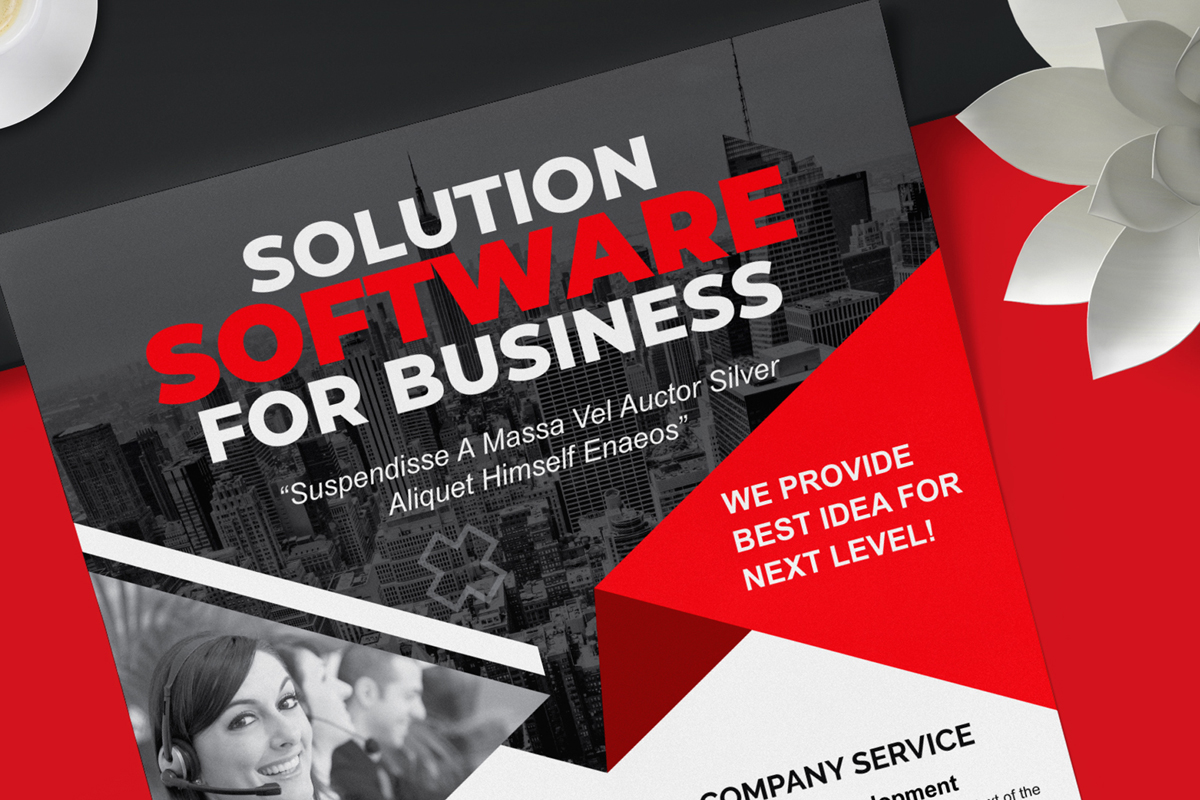 Software Company Business Flyer Template