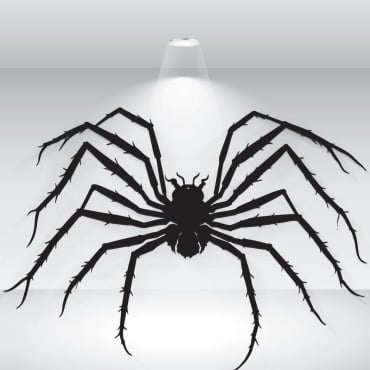 Spider Black Illustrations Templates 373541
