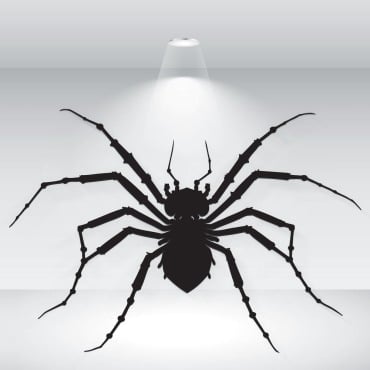 Spider Black Illustrations Templates 373544