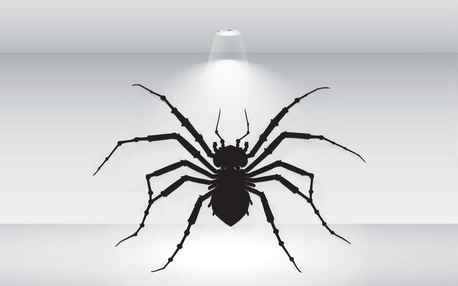 Black Spider Of Halloween Vector Format