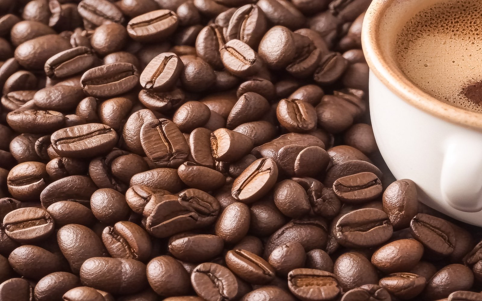 Coffee Beans Background Illustration With A Cup Of Coffee And Foam