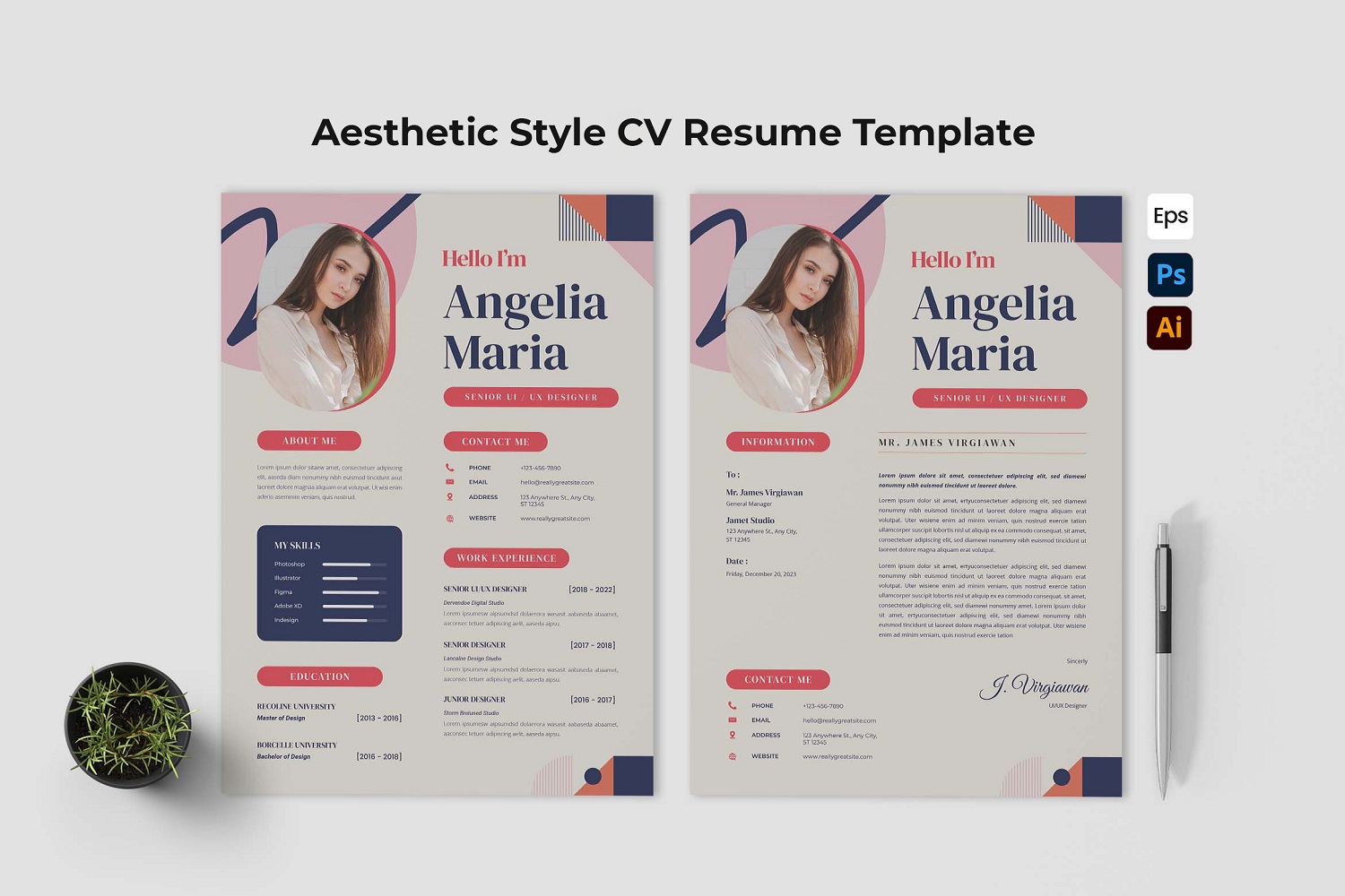 Aesthetic Style CV Resume