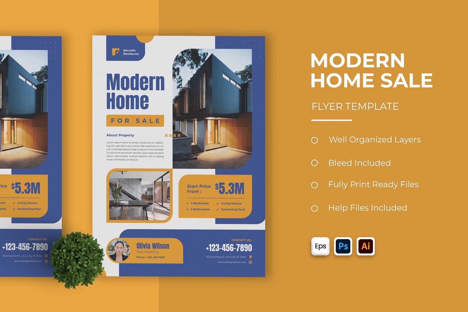 Elegant Modern Home For Sale Flyer