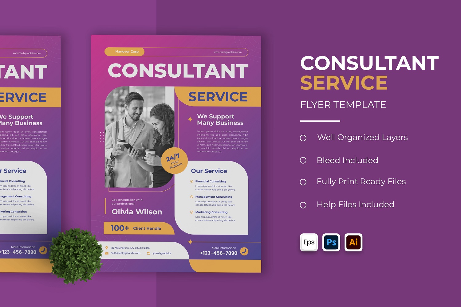 Consultant Service Flyer Template