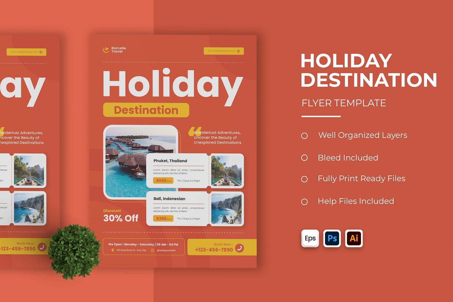 Holiday Destination Flyer