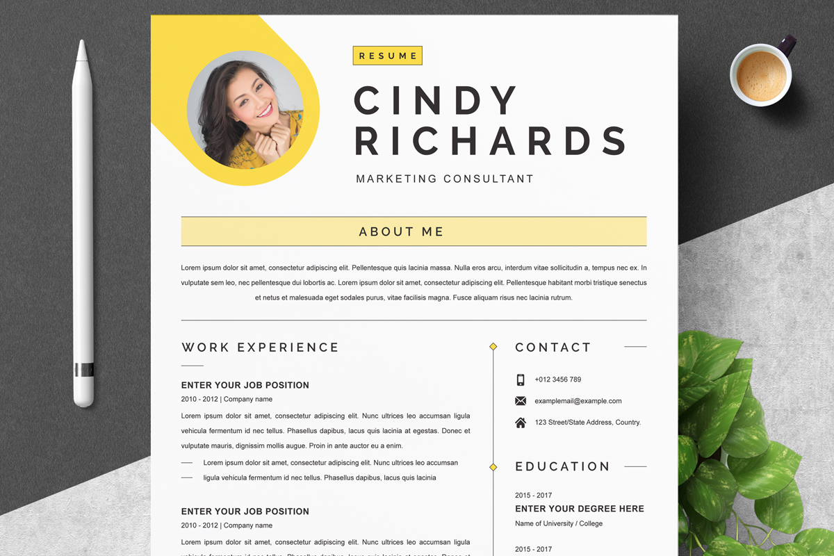 Professional Word Resume Template Layout