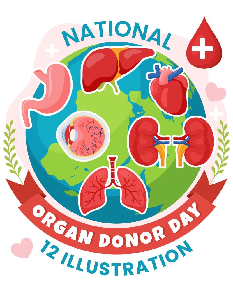 12 National Organ Donor Day Illustration