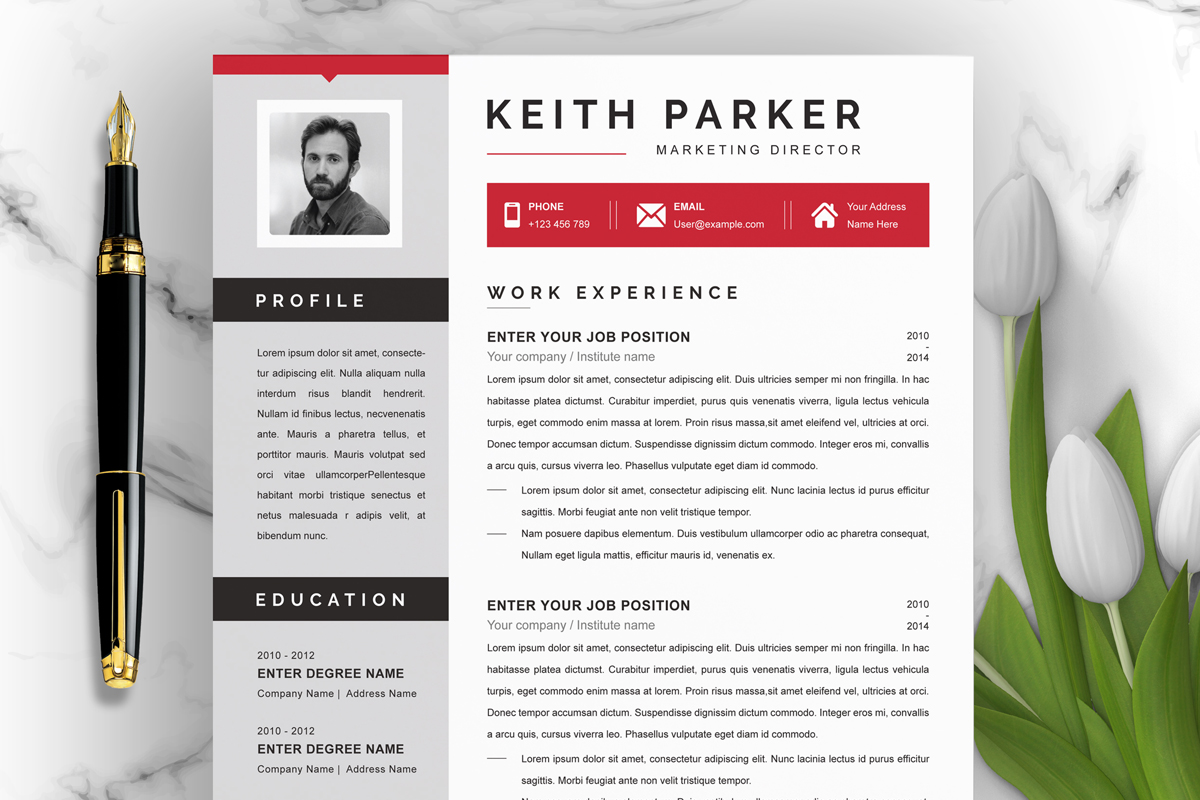 Clean and Modern Resume Template For Pages and Word