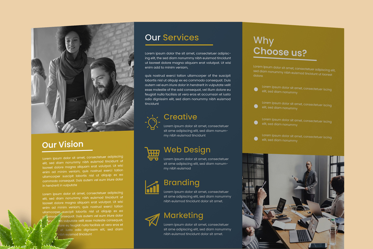 Business Trifold Brochure Design Templates