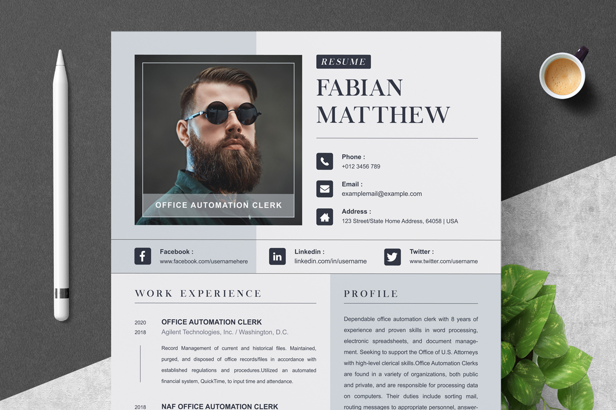 Professional CV Template Design and Customize Your CV for 2024