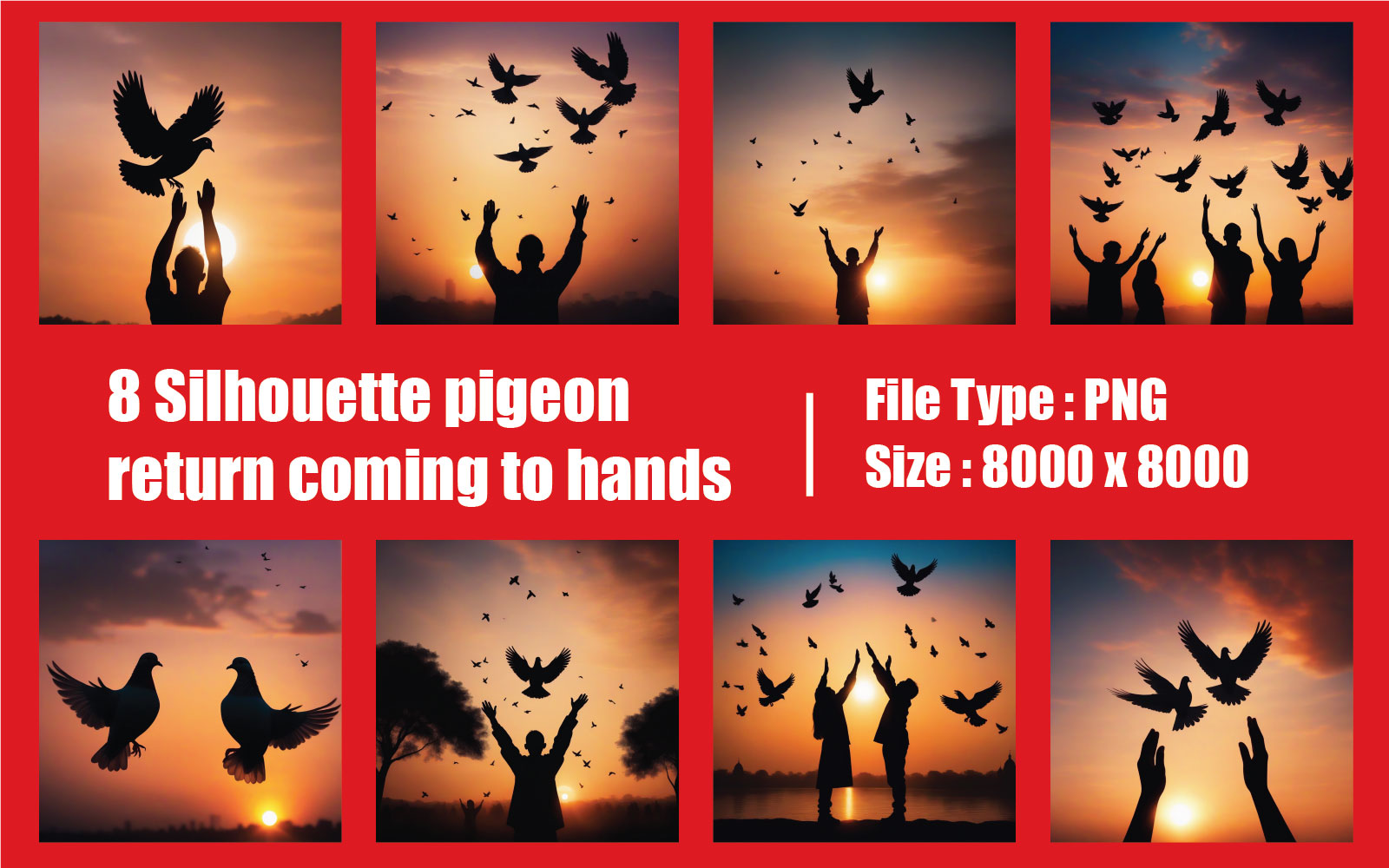 Silhouette pigeon return coming to hands in air vibrant sunlight sunset sunrise background
