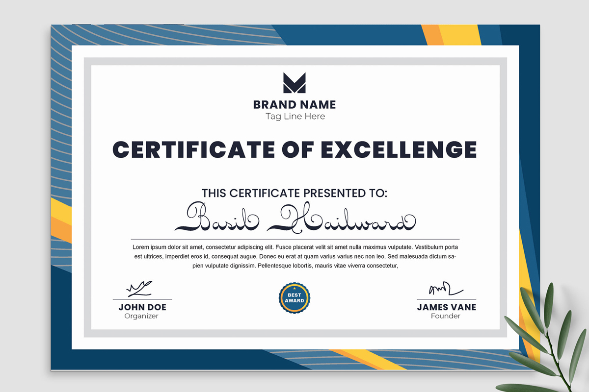 Certificates of Excellence