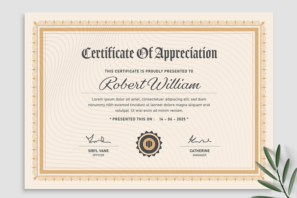 Professional  Certificate of Appreciation