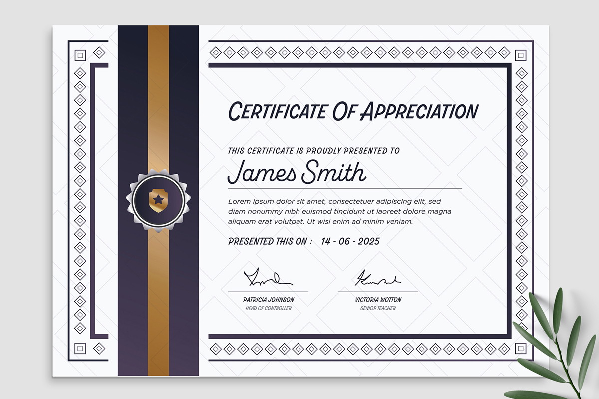 Modern Certificate Of Appreciation Templates