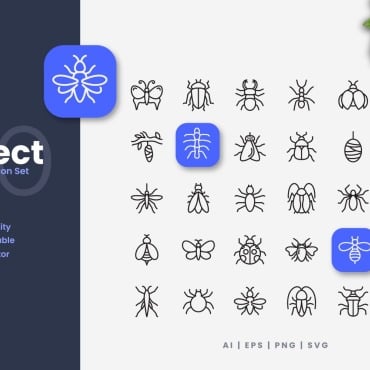 Collection Insect Icon Sets 376420