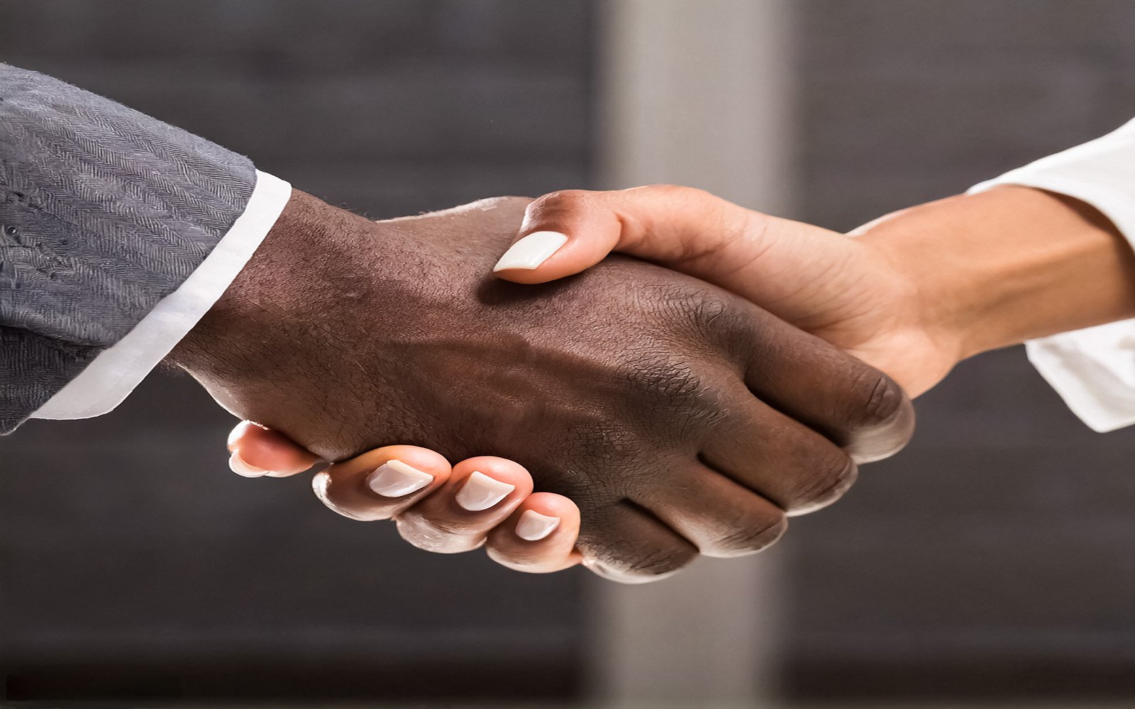 Black Hand Shaking White Hand Illustration