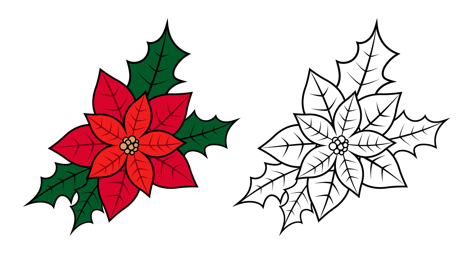 Vector red orange Christmas poinsettia with an outline