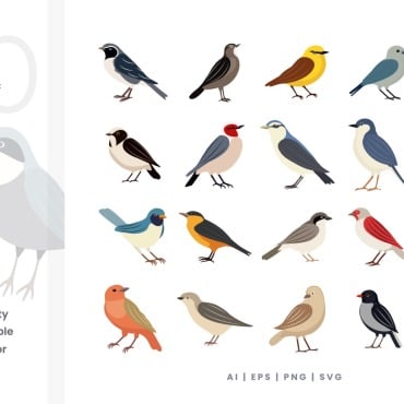 Vector Bird Illustrations Templates 378460
