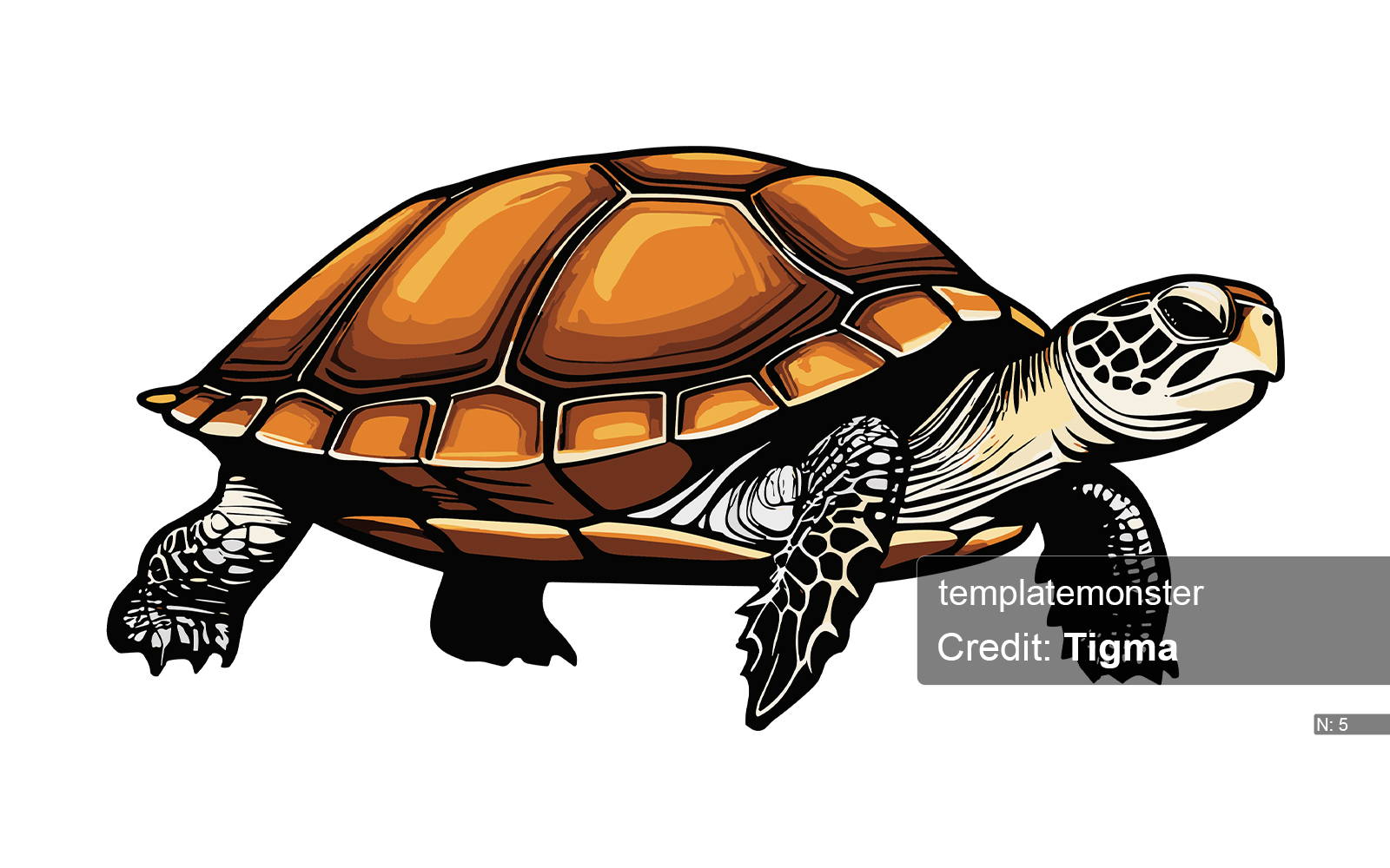 Serene Turtle: Minimalist Vector Art