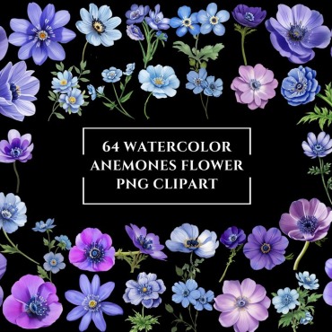Anemones Flower Backgrounds 381531