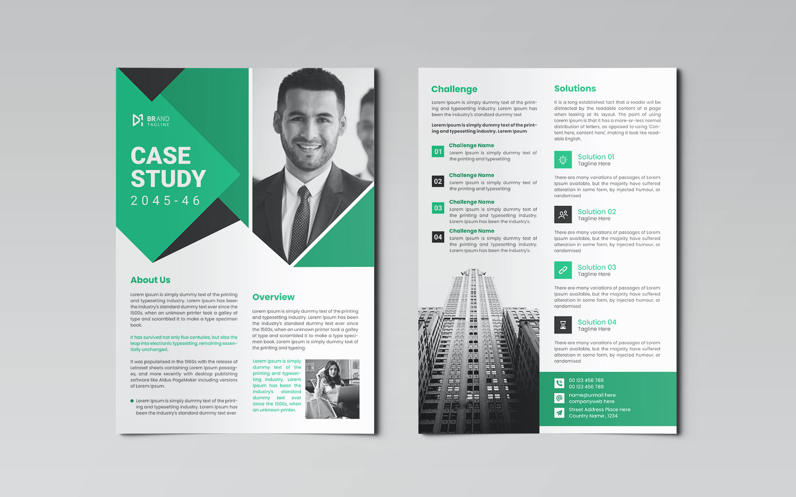 Marketing Case Study Flyer Design Template
