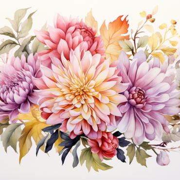 Bouquets Floral Illustrations Templates 384189