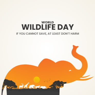 World Wildlife Illustrations Templates 384319