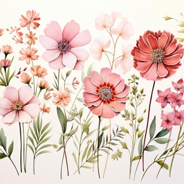 Bouquets Floral Illustrations Templates 384540