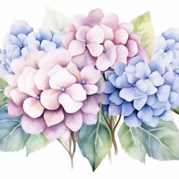 <a class=ContentLinkGreen href=/fr/kits_graphiques_templates_illustrations.html>Illustrations</a></font> bouquets floral 384721