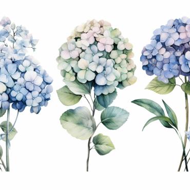 <a class=ContentLinkGreen href=/fr/kits_graphiques_templates_illustrations.html>Illustrations</a></font> bouquets floral 384724