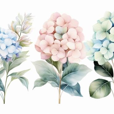 <a class=ContentLinkGreen href=/fr/kits_graphiques_templates_illustrations.html>Illustrations</a></font> bouquets floral 384753