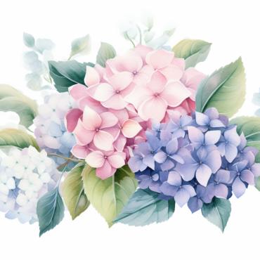 <a class=ContentLinkGreen href=/fr/kits_graphiques_templates_illustrations.html>Illustrations</a></font> bouquets floral 384755