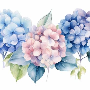 Bouquets Floral Illustrations Templates 384799