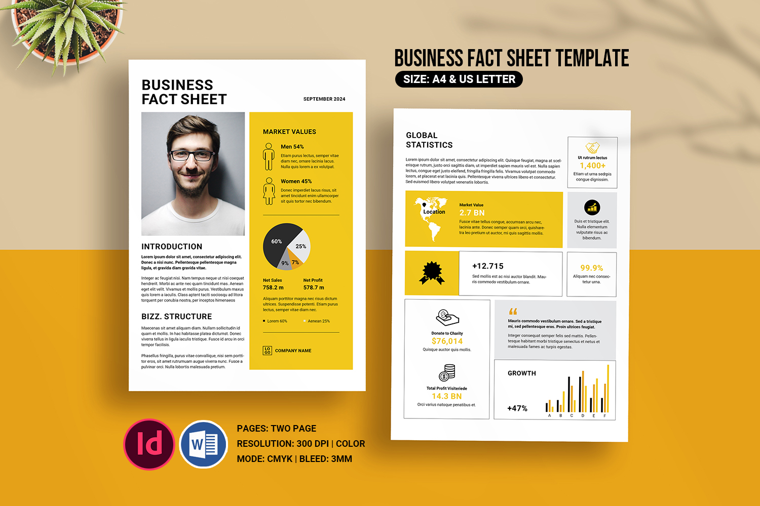 Business Fact Sheet, Indesign & Word