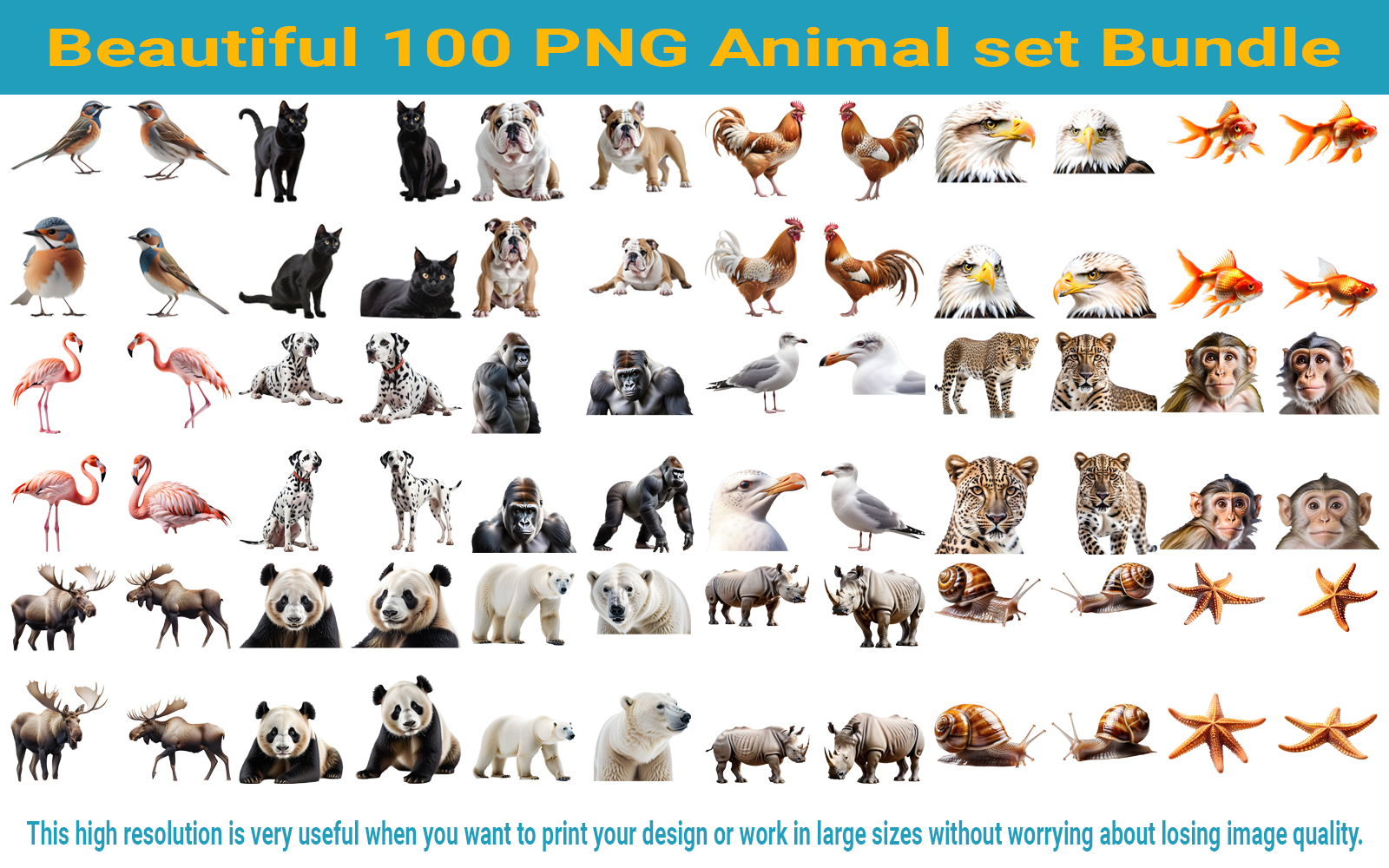 Beautiful 100 PNG Animal set Bundle