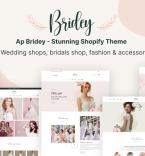 Shopify Themes 386525