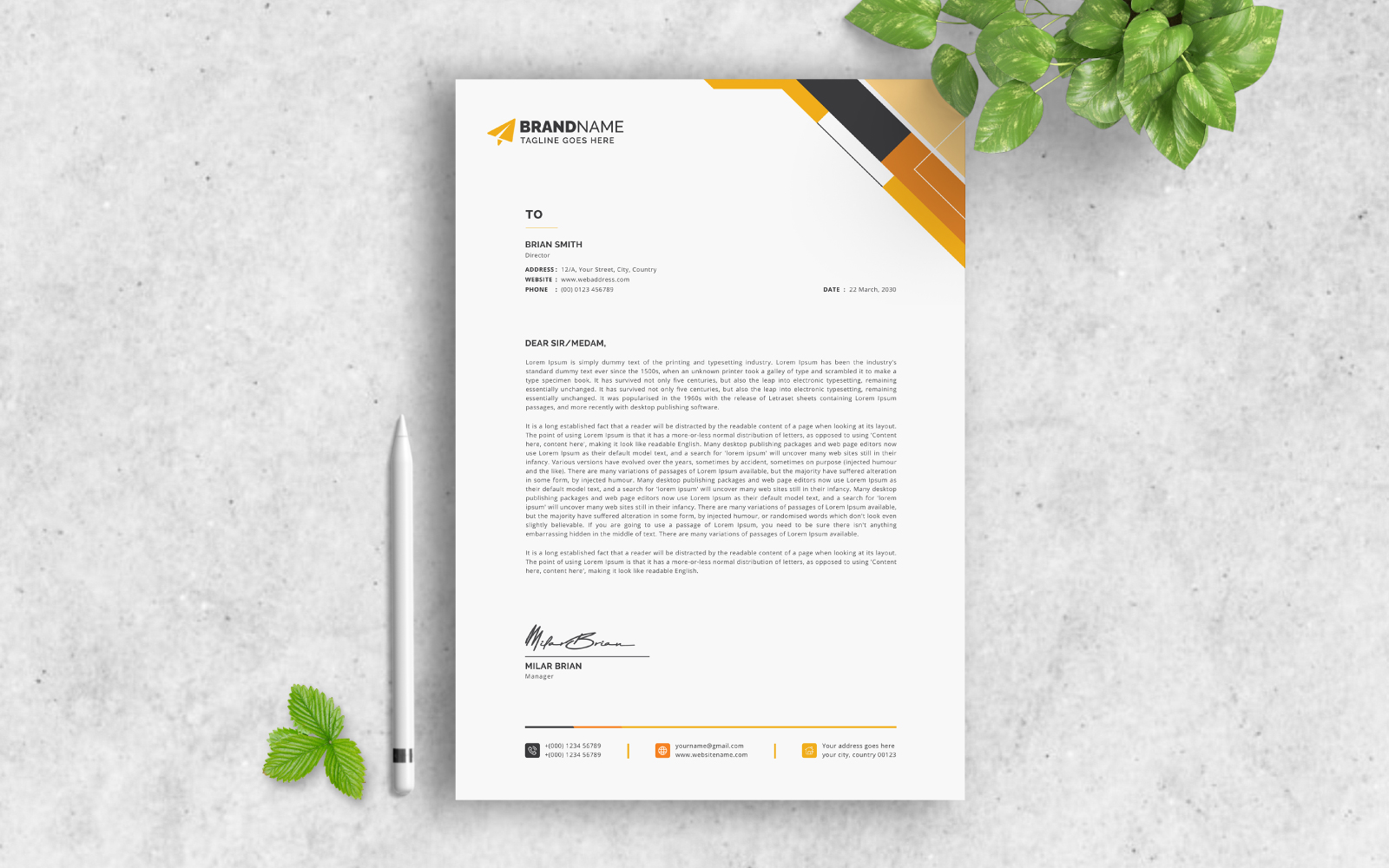 Letterhead, Professional Letterhead, Creative Letterhead, Stylish Letterhead, Colorful Letterhead