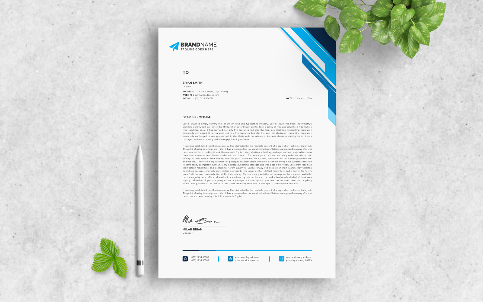 Letterhead, Professional Letterhead, Creative Letterhead, Editable Letterhead, Clean Letterhead