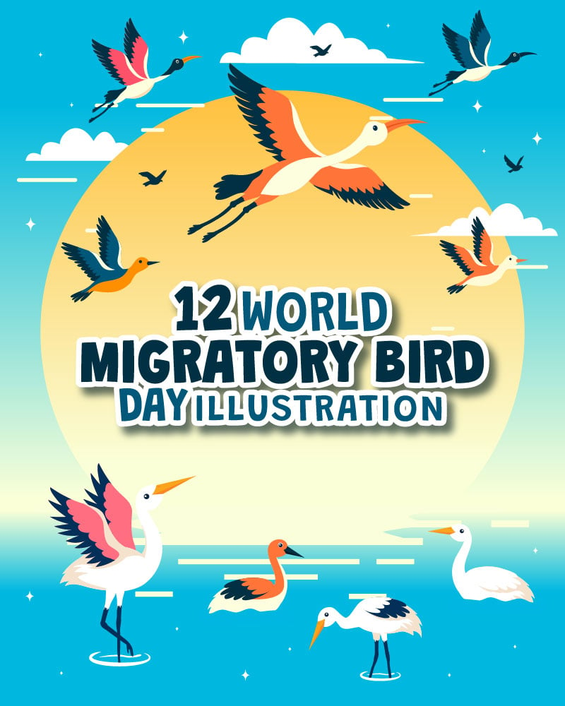 12 World Migratory Bird Day Illustration